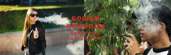 каннабис Белокуриха