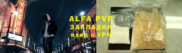 прущие грибы Беломорск