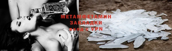 прущие грибы Беломорск