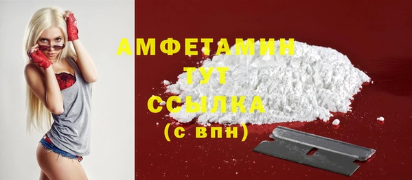 прущие грибы Беломорск