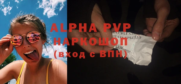 прущие грибы Беломорск