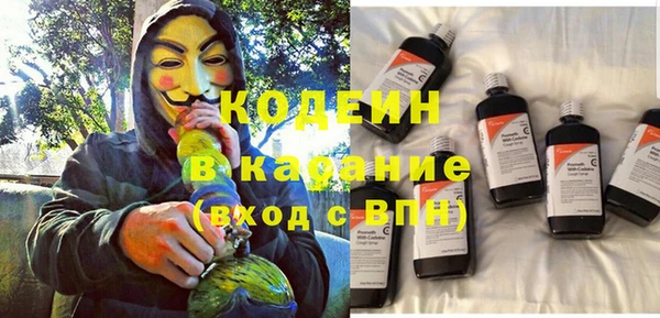 прущие грибы Беломорск