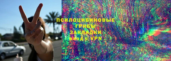 прущие грибы Беломорск