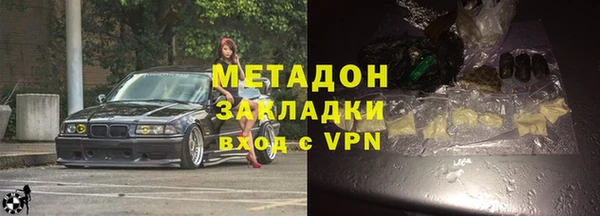 прущие грибы Беломорск