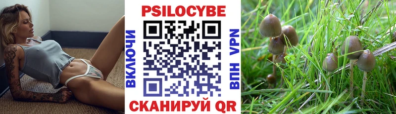 Галлюциногенные грибы Magic Shrooms  Ишим 