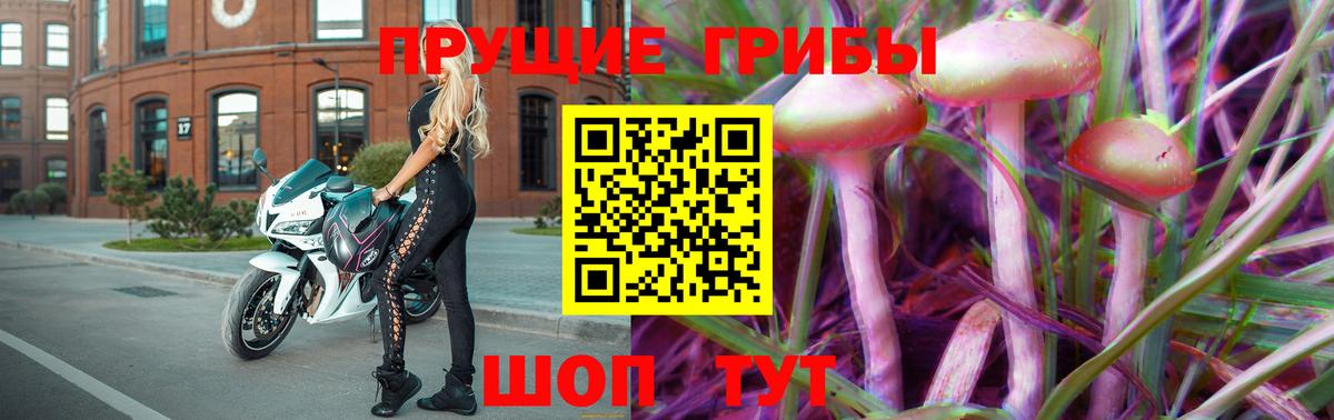 Галлюциногенные грибы MAGIC MUSHROOMS  Псилоцибиновые грибы мухоморы  Ишим  Вход с VPN 